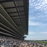 2022 シンザン記念(G3)の複勝率を公開！【結果は上位的中！】