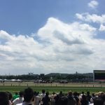 2020 アイビスサマーダッシュ(G3)の複勝率を公開！！【結果】